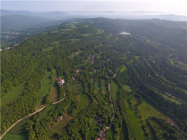 森林防火方面的應(yīng)用